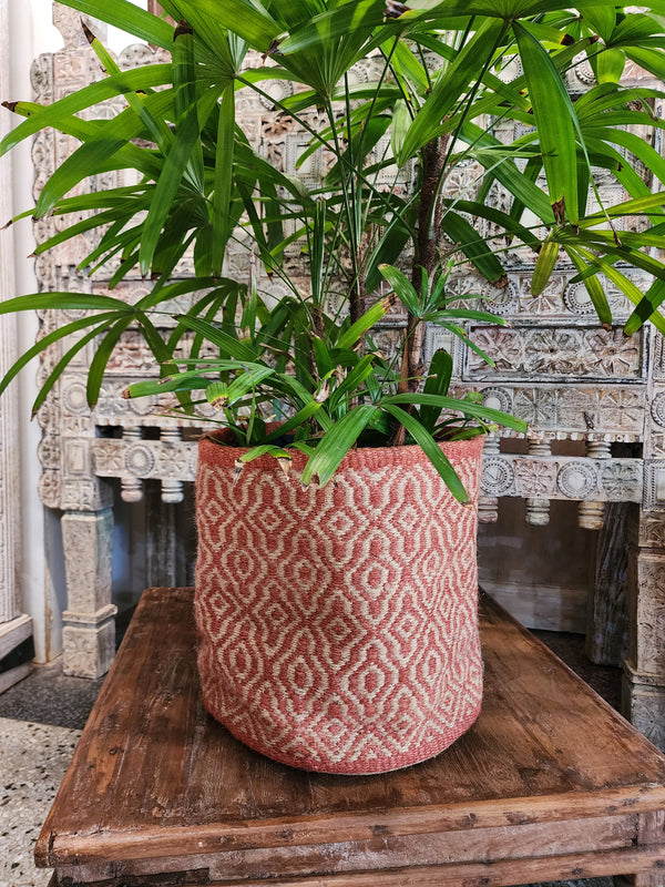 Jute planter