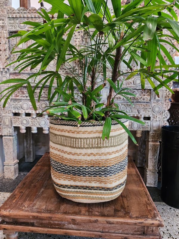 Jute planter