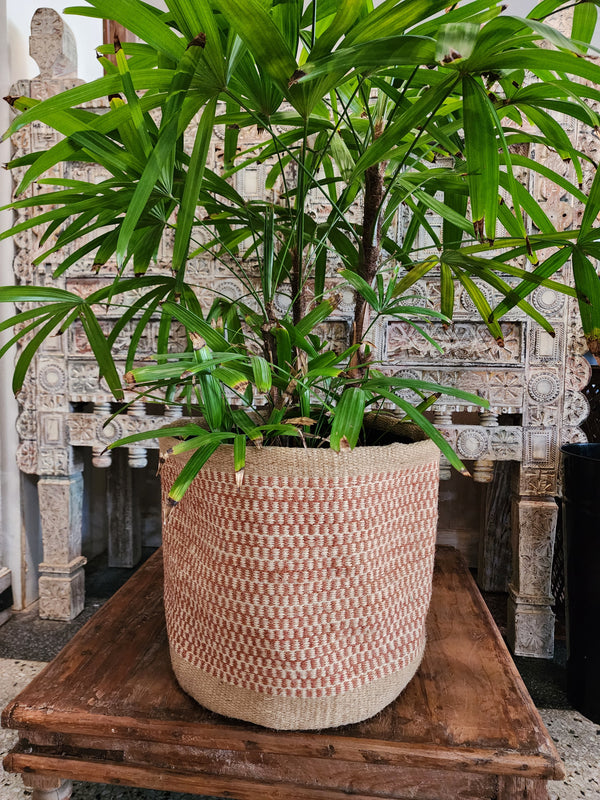 Jute planter 