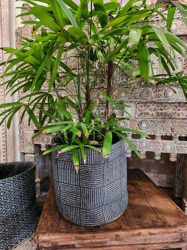 Jute planter