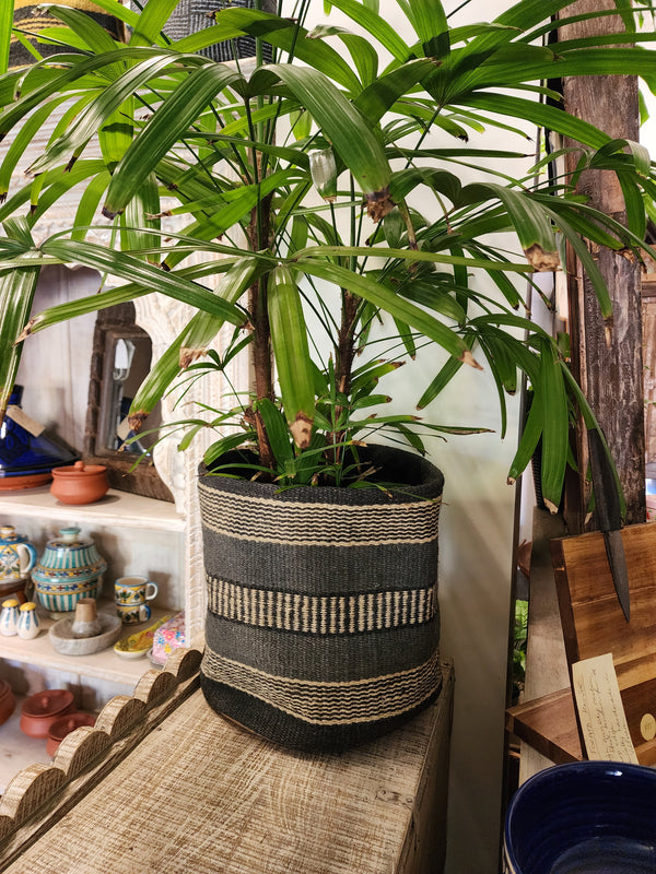 Jute planter
