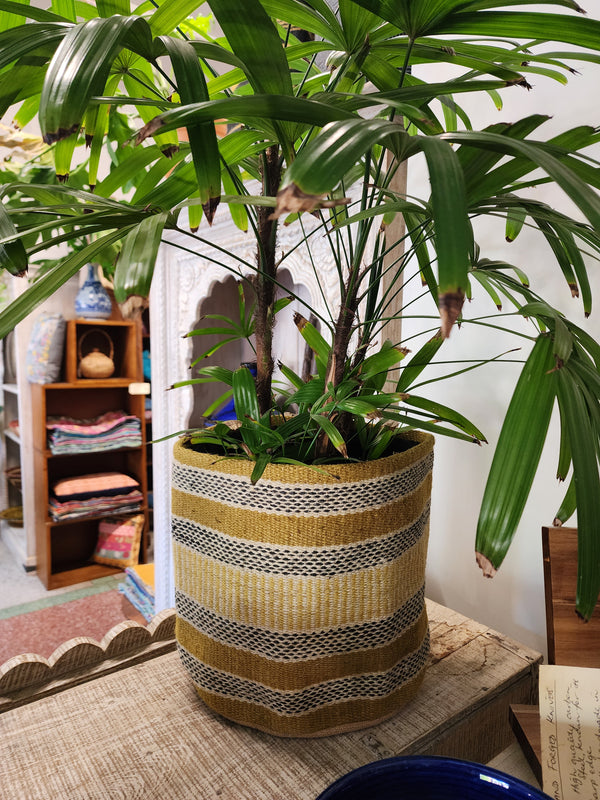 Jute planter