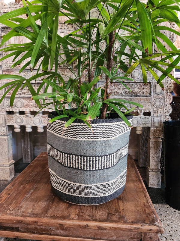 Jute planter 