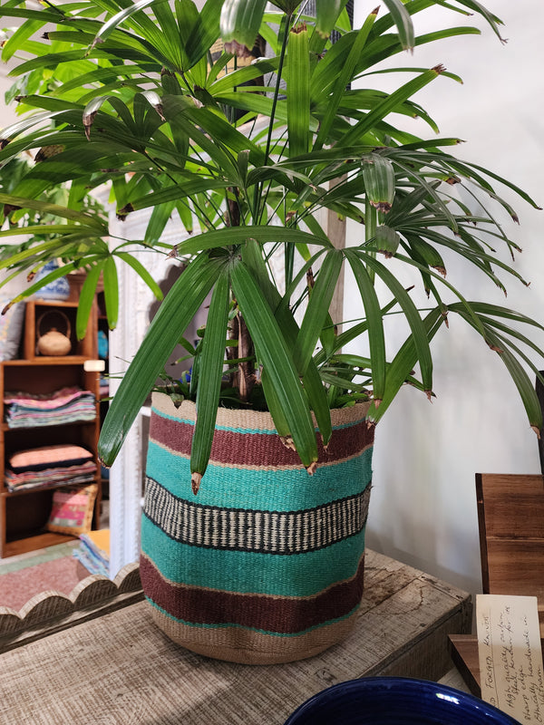 Jute planter