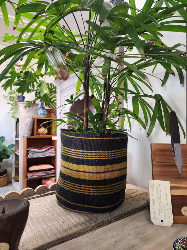 Jute planter