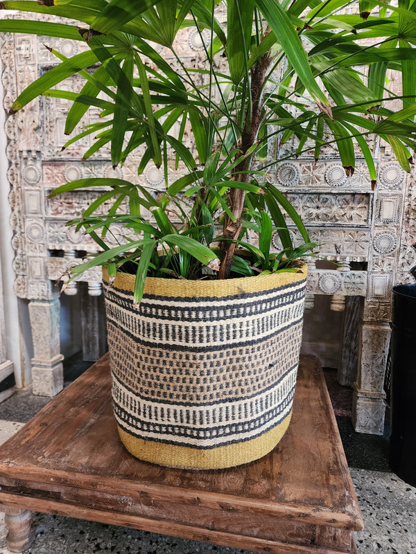 Jute planter